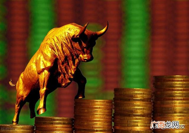 创业板新股上市最高涨幅,创业板新股涨幅最好的股票