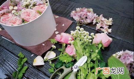 开绿植花店赚钱吗 鲜花种植创业