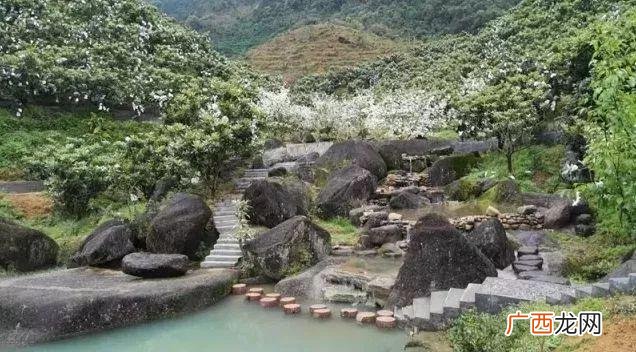 星期六温泉洗浴价格 星期六温泉酒店自助餐