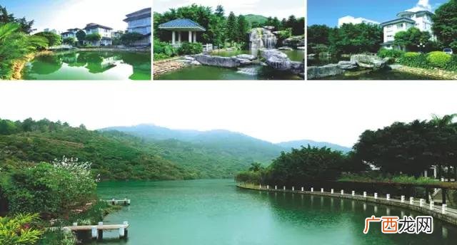 星期六温泉洗浴价格 星期六温泉酒店自助餐