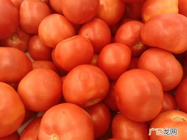 新零投资创业开店项目 种植业致富项目成本低