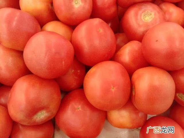 新零投资创业开店项目 种植业致富项目成本低