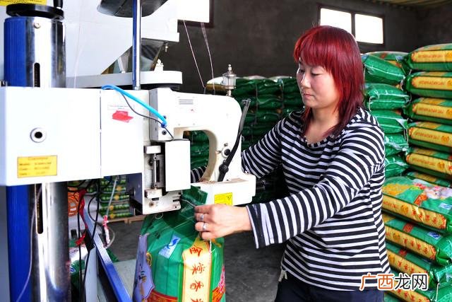 最新生意项目都有哪些 农村0元创业