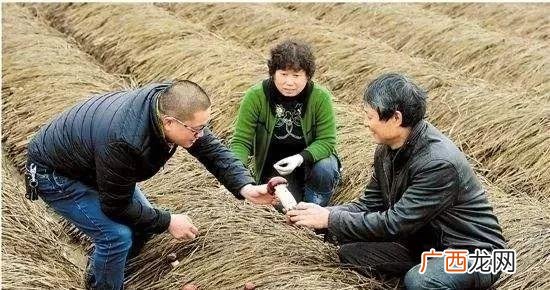 县城冷门暴利生意 十万块钱能创业了吗