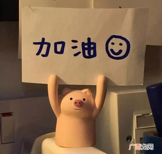 对学校毕业生工作的建议,对学校和系就业创业工作建议