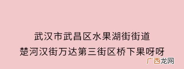 果呀呀平替 良果芭加盟全部费用