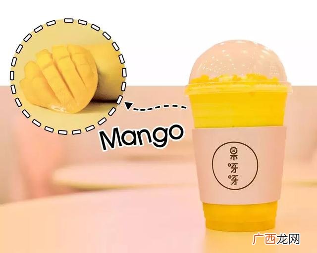 果呀呀平替 良果芭加盟全部费用