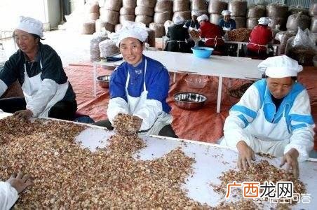 农副产品公司名字大全 怎样注册农业公司个体