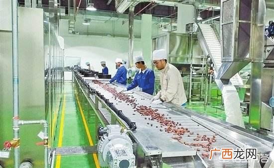 农副产品公司名字大全 怎样注册农业公司个体