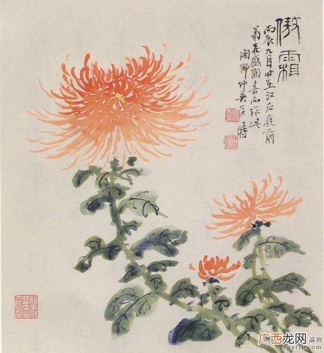 朵韵诗珍珠亮肤滋养面膜多少钱一盒,朵韵诗面膜