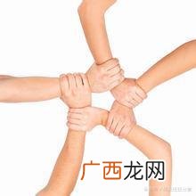 创业者与创业团队1000字 创业者和创业团队主要依赖公司治理