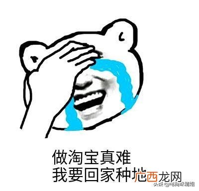 开一家网店需要多少资金,想自己开一个网店怎么开