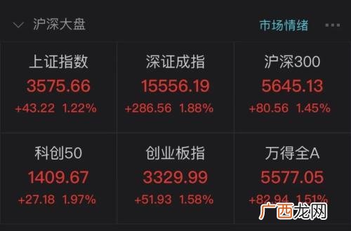 创业板最大涨幅排名,创业板上市涨幅最大的股票