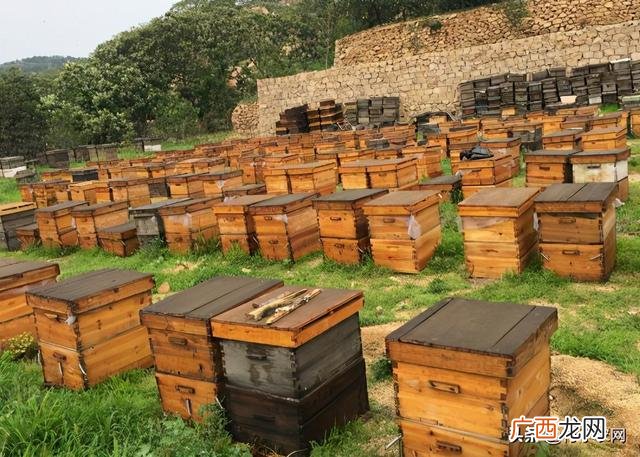 养殖业什么最稳定,青年创业项目推荐