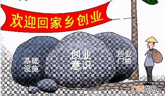 养殖业什么最稳定,青年创业项目推荐