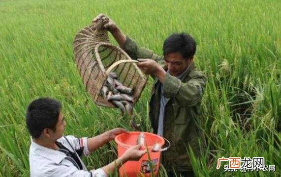 养殖业什么最稳定,青年创业项目推荐