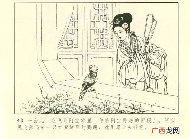 《聊斋志异》阿宝翻译 阿宝英语怎么说