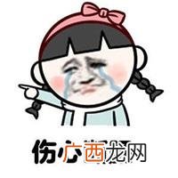 没学过预算可以做预算员吗 女生预算员好学吗