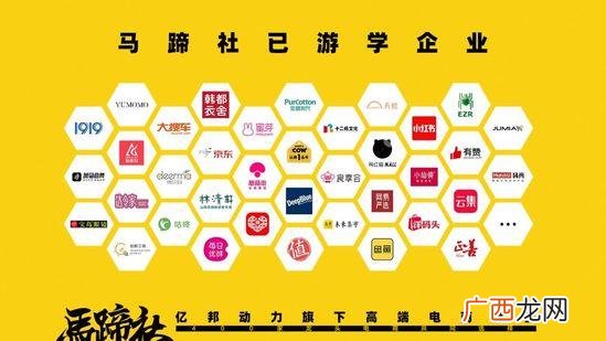 小仙炖哪产的,小仙炖创业