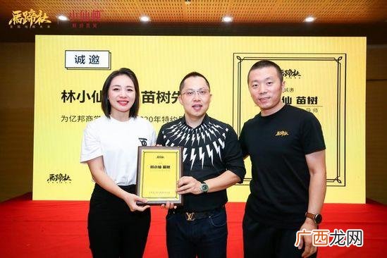 小仙炖哪产的,小仙炖创业