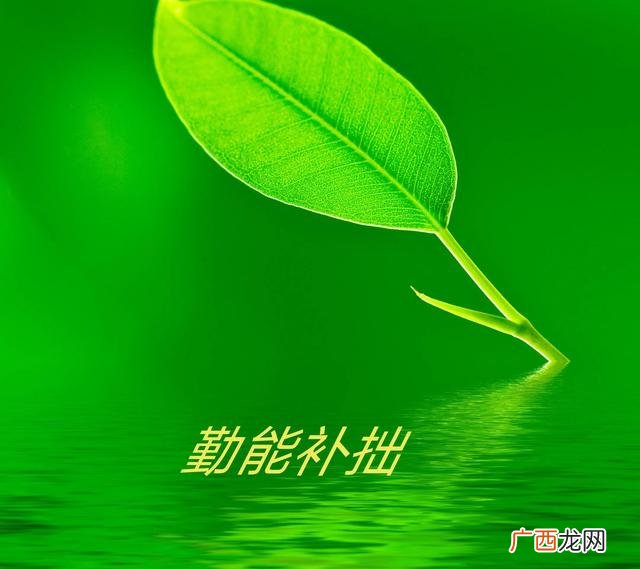 懒惰心理盛行,每个人创业都有懒惰心理