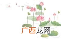 mem工程管理硕士有用吗 工程管理学硕士
