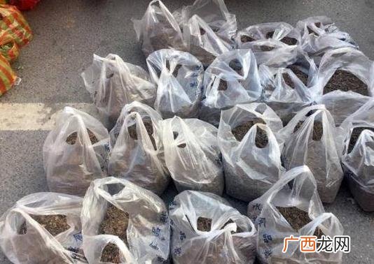 无本最快的赚钱方法,如何快速赚500元