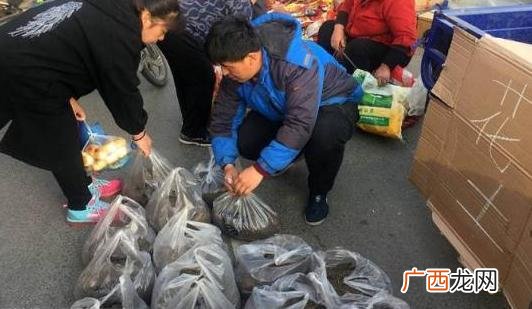 无本最快的赚钱方法,如何快速赚500元