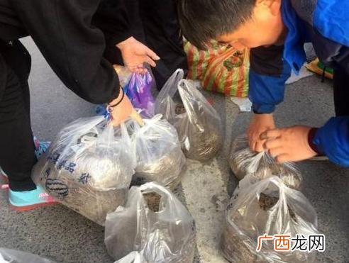 无本最快的赚钱方法,如何快速赚500元