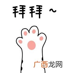应届生创业有什么支持政策,国家对大学生创业的扶持政策