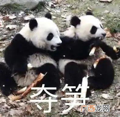 应届生创业有什么支持政策,国家对大学生创业的扶持政策