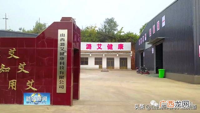 山西艾草种植基地,艾草创业案例标题