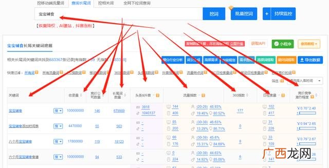 有口碑的大数据创业项目 创业项目网站