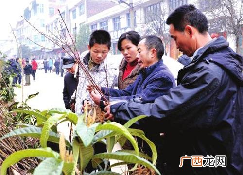 农村自主创业农民项目 自主创业做什么项目