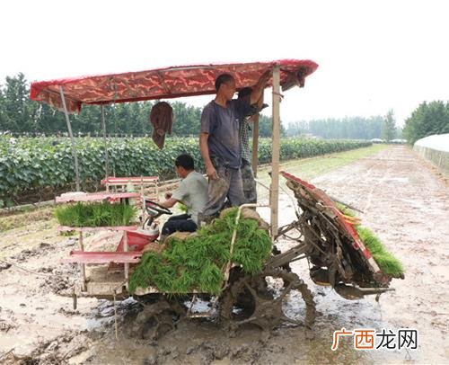 农村自主创业农民项目 自主创业做什么项目