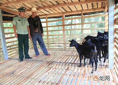 农村自主创业农民项目 自主创业做什么项目