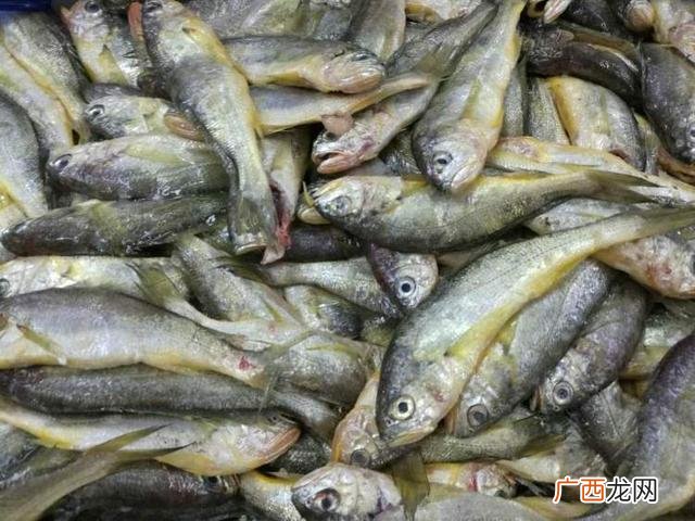 海鲜公司创业计划书 海产品加工创业计划书