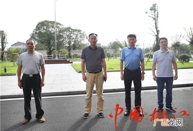 汤跃武 桃江县 桃江创业村丁正辉