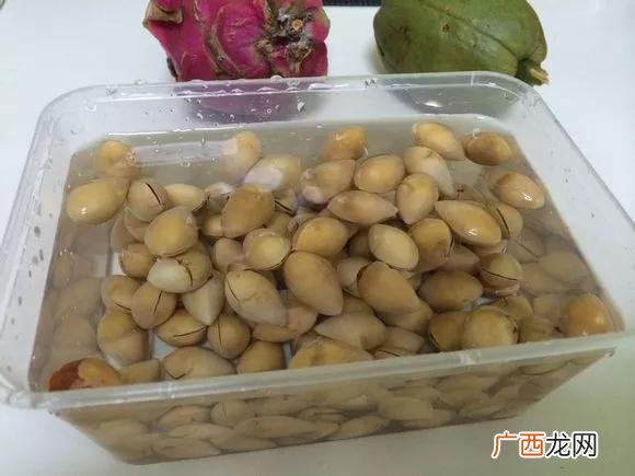 盆栽花卉种子,学盆栽花卉创业