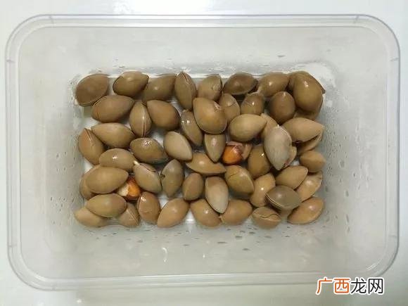 盆栽花卉种子,学盆栽花卉创业