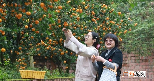 挣钱商机 眉山创业服务中心