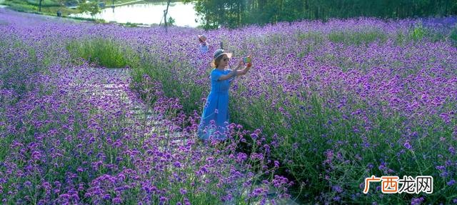 挣钱商机 眉山创业服务中心