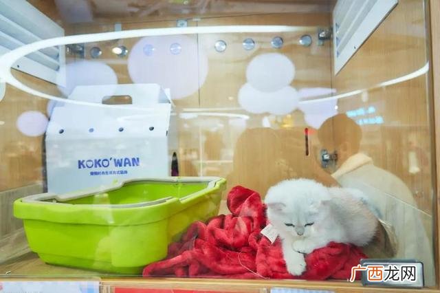 服装加盟店10大品牌有哪些品牌,鞋子加盟店排行榜加盟10大品牌