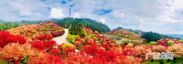 圣灯山茗山雅居施工项目,蓝城集团重庆圣灯山项目