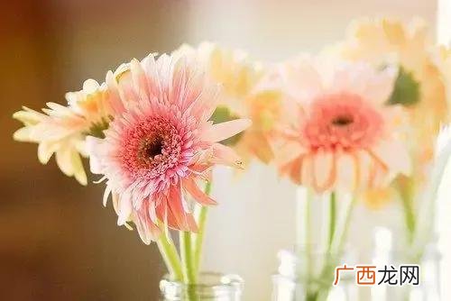大学怎么辍学,大学生辍学创业