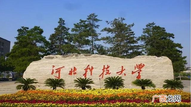 大学怎么辍学,大学生辍学创业