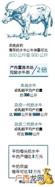 海南最挣钱的小生意,创业需要多少资金