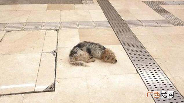 尚文创业城有地下车库吗,尚文创业城