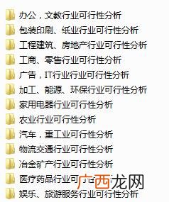 宫廷主题餐厅计划书 复古酒楼创业计划书