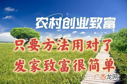 年轻人想在老家创业,在老家怎么创业